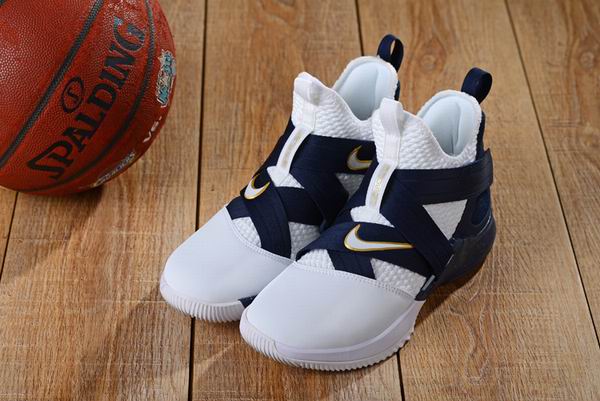 nike james shoes-030