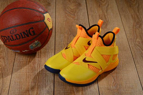 nike james shoes-031